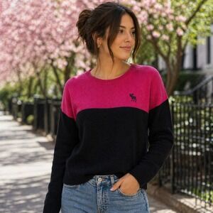 Abercrombie & Fitch Pink Navy Wool Blend Colorblock Moose Logo Sweater Sz M NWT